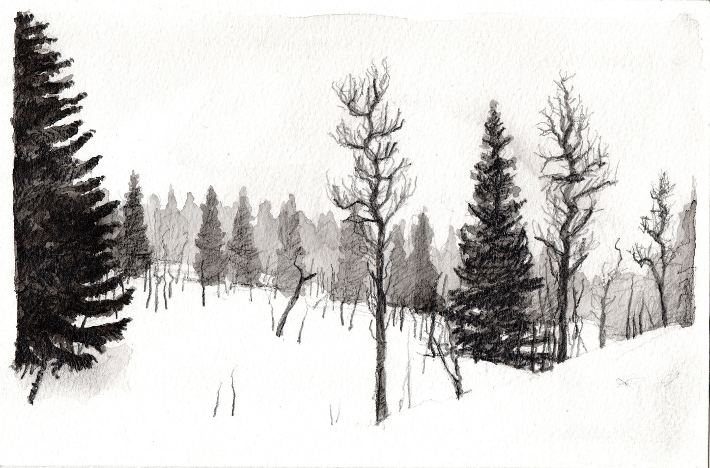Wooded Slope, Are (within cloud) version B (2016)
