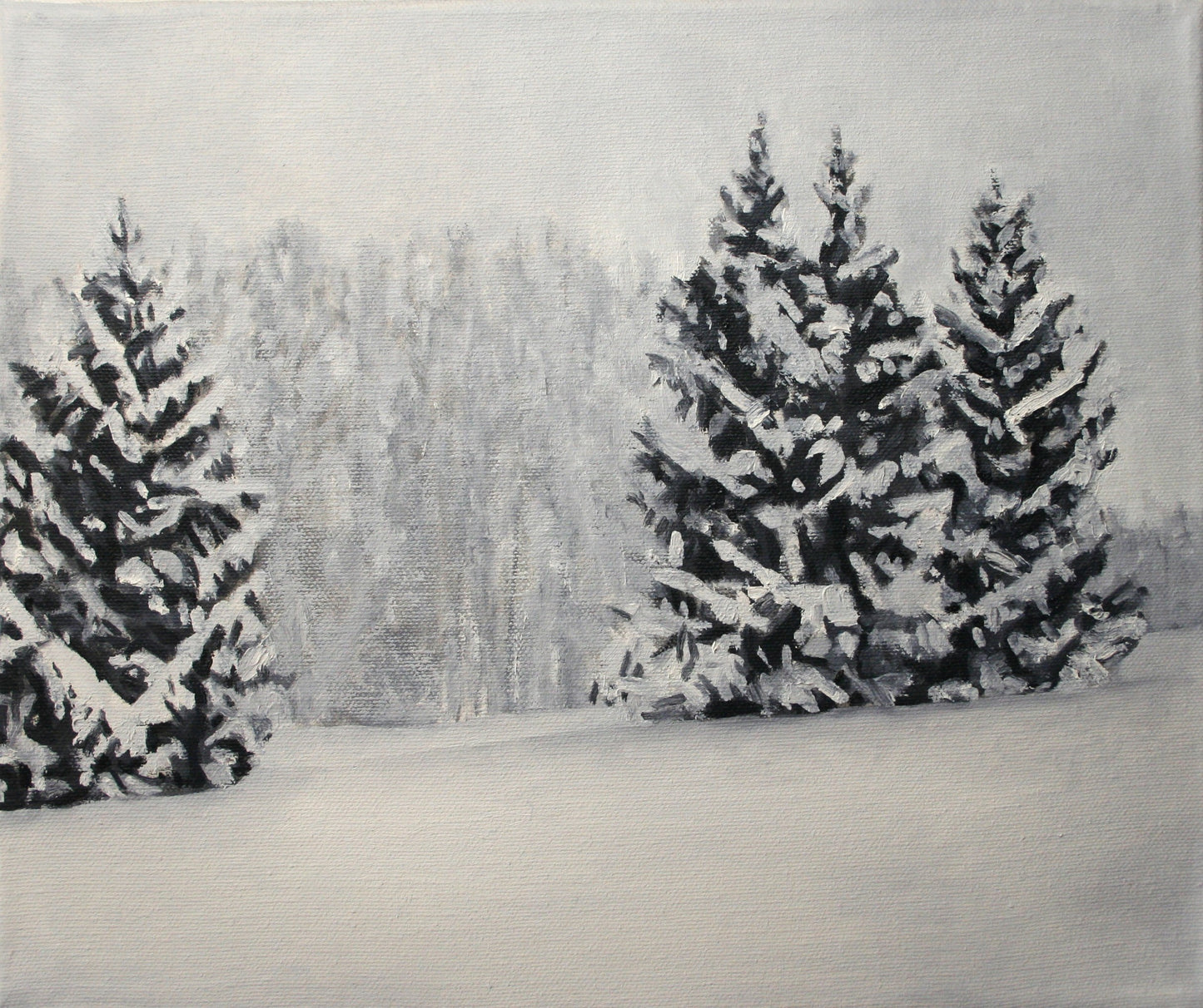 Firs in Snow, Wales (2016)