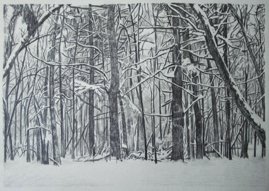 Snowy Forest (2015)