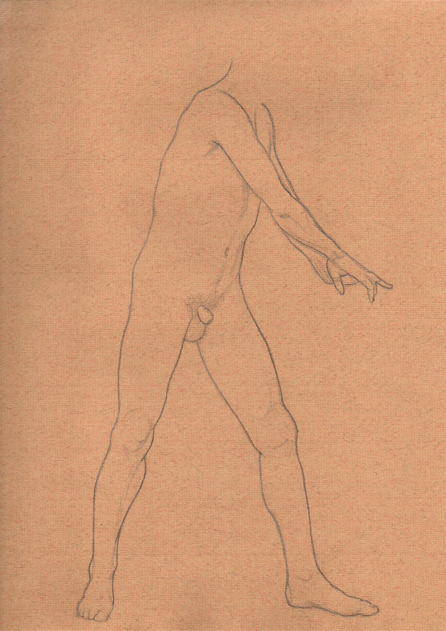 Standing Male Nude, Dynamic (2019)