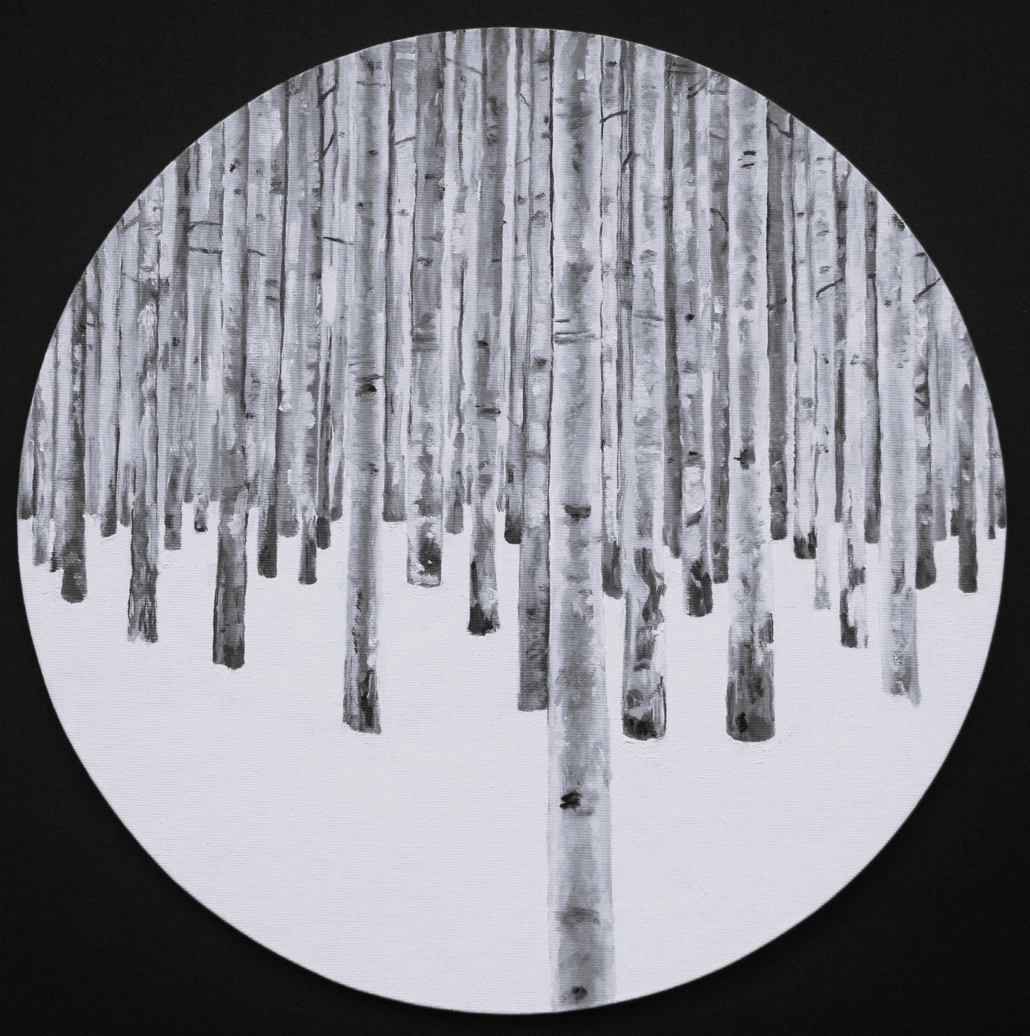 Birch Trees (2023)