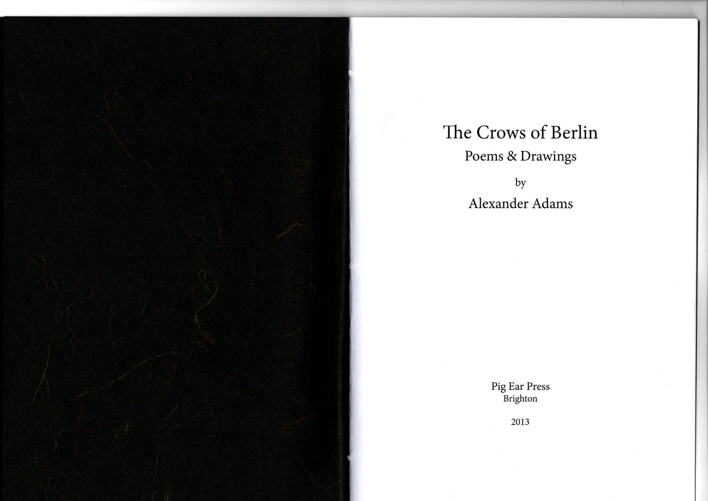 The Crows of Berlin