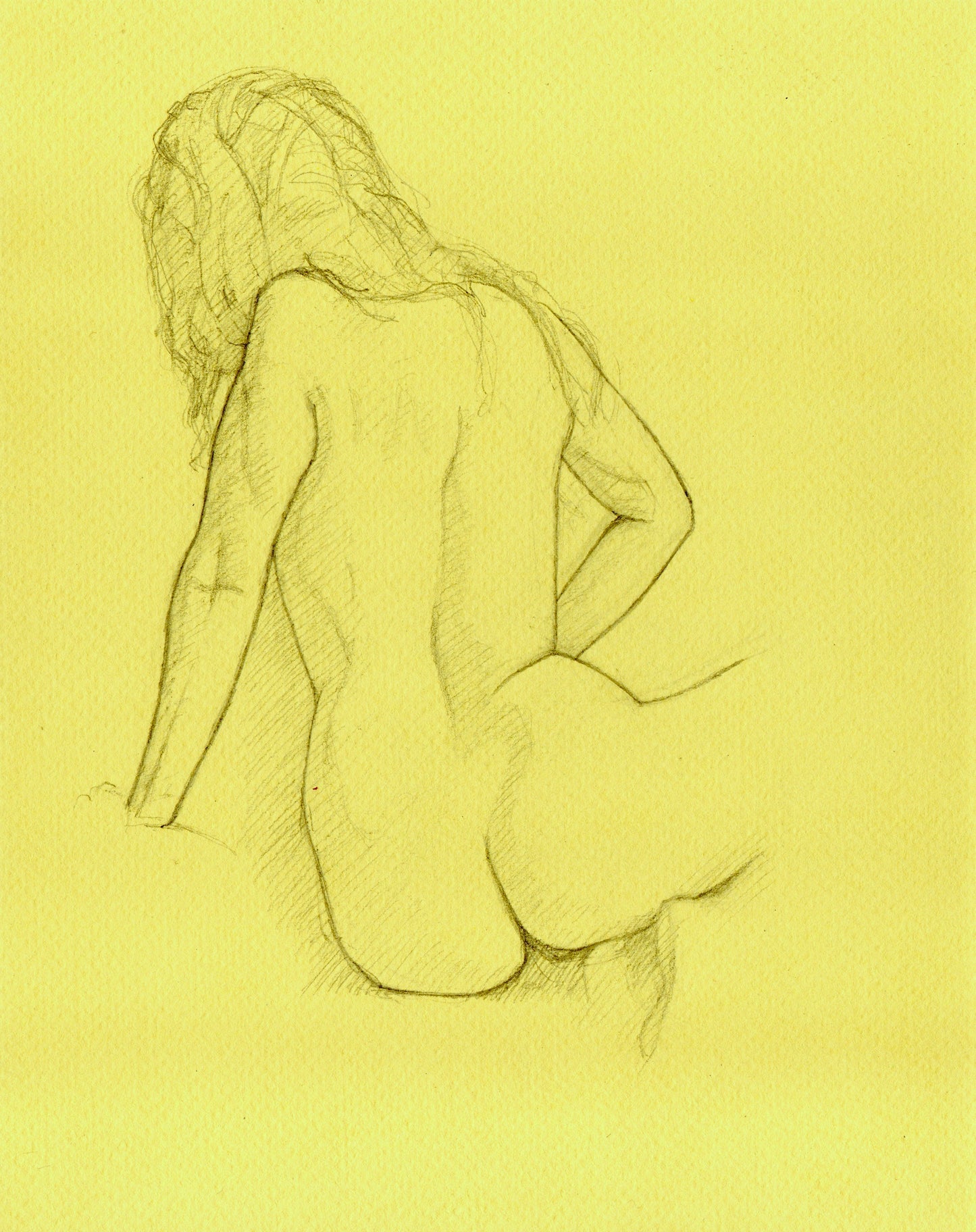 Female Nude Seated. Rear View (2015)