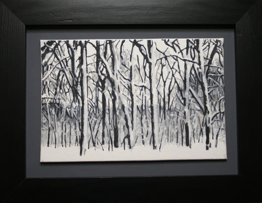Snowy Forest V (2012)