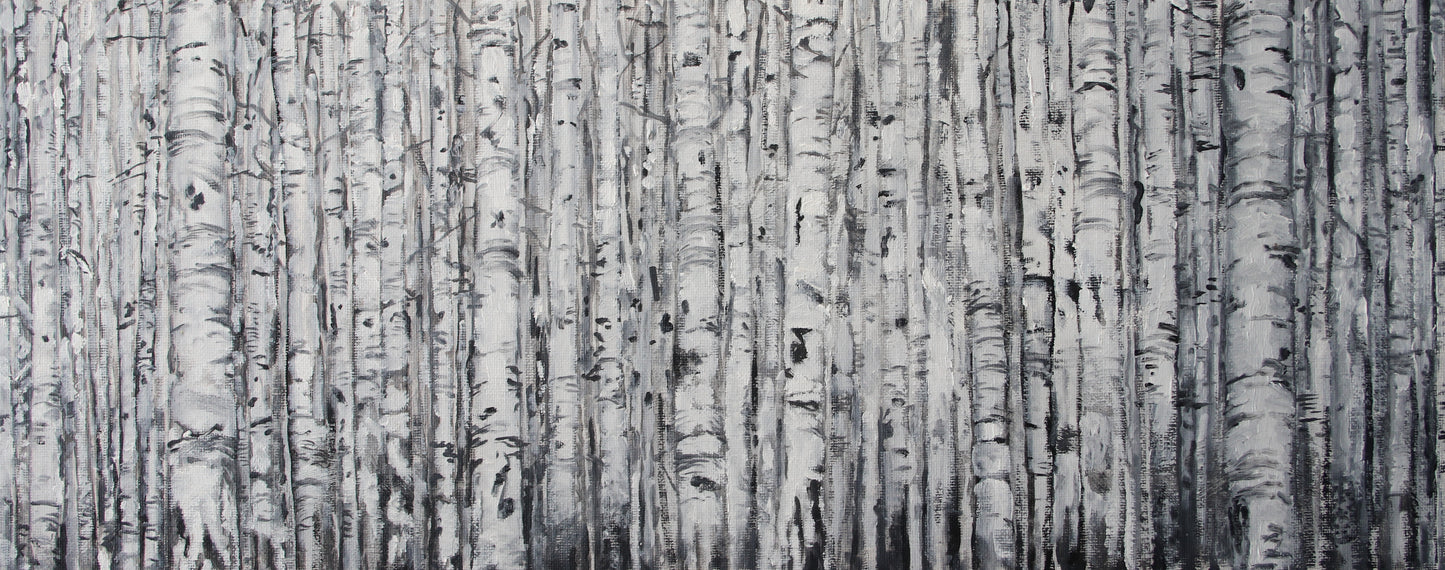 Birch Panorama (i.m. 1944) (B) (2025) (Kinderszenen)