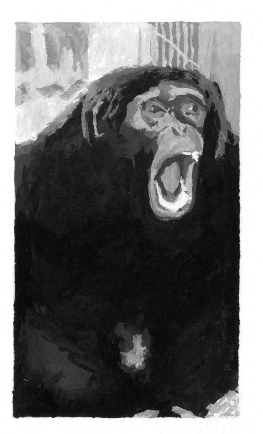 Chimpanzee, version B, 1997